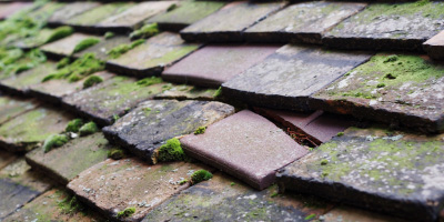 Barton roof repair costs